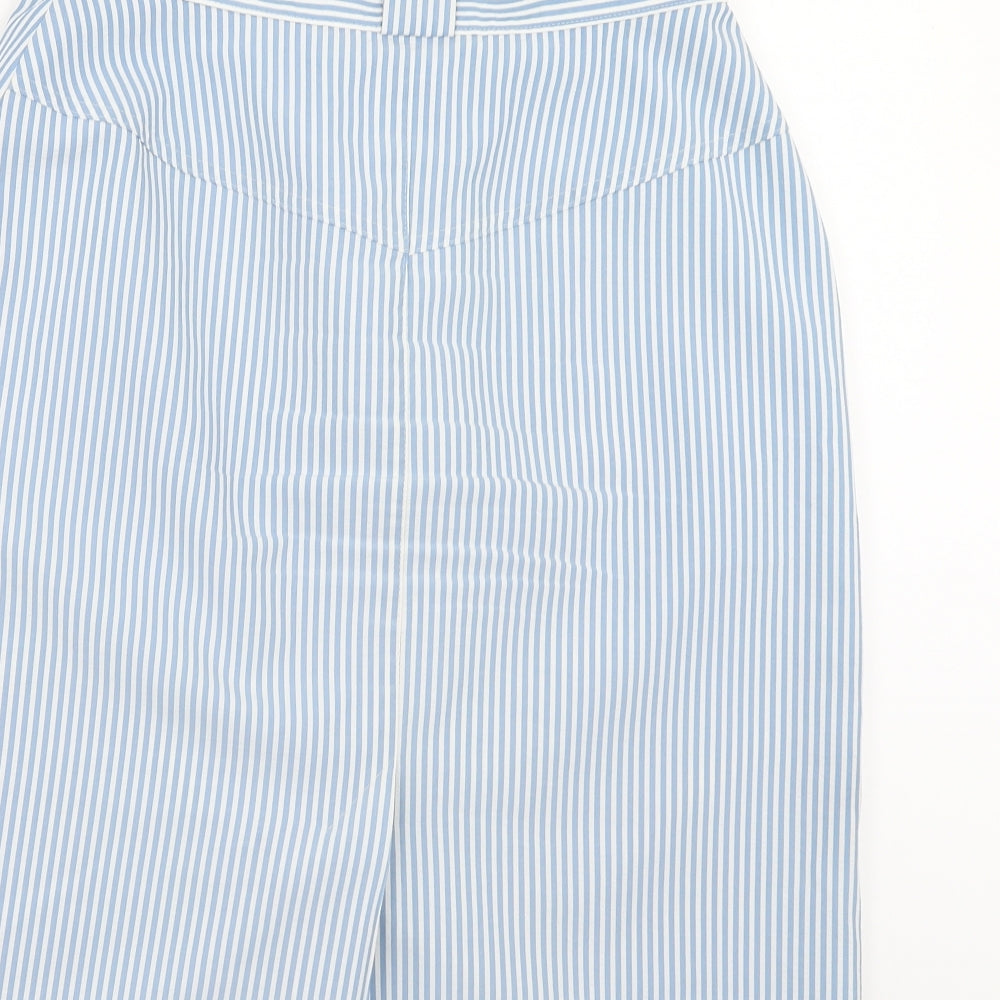 Preworn Womens Blue Striped  A-Line Skirt Size 30 in