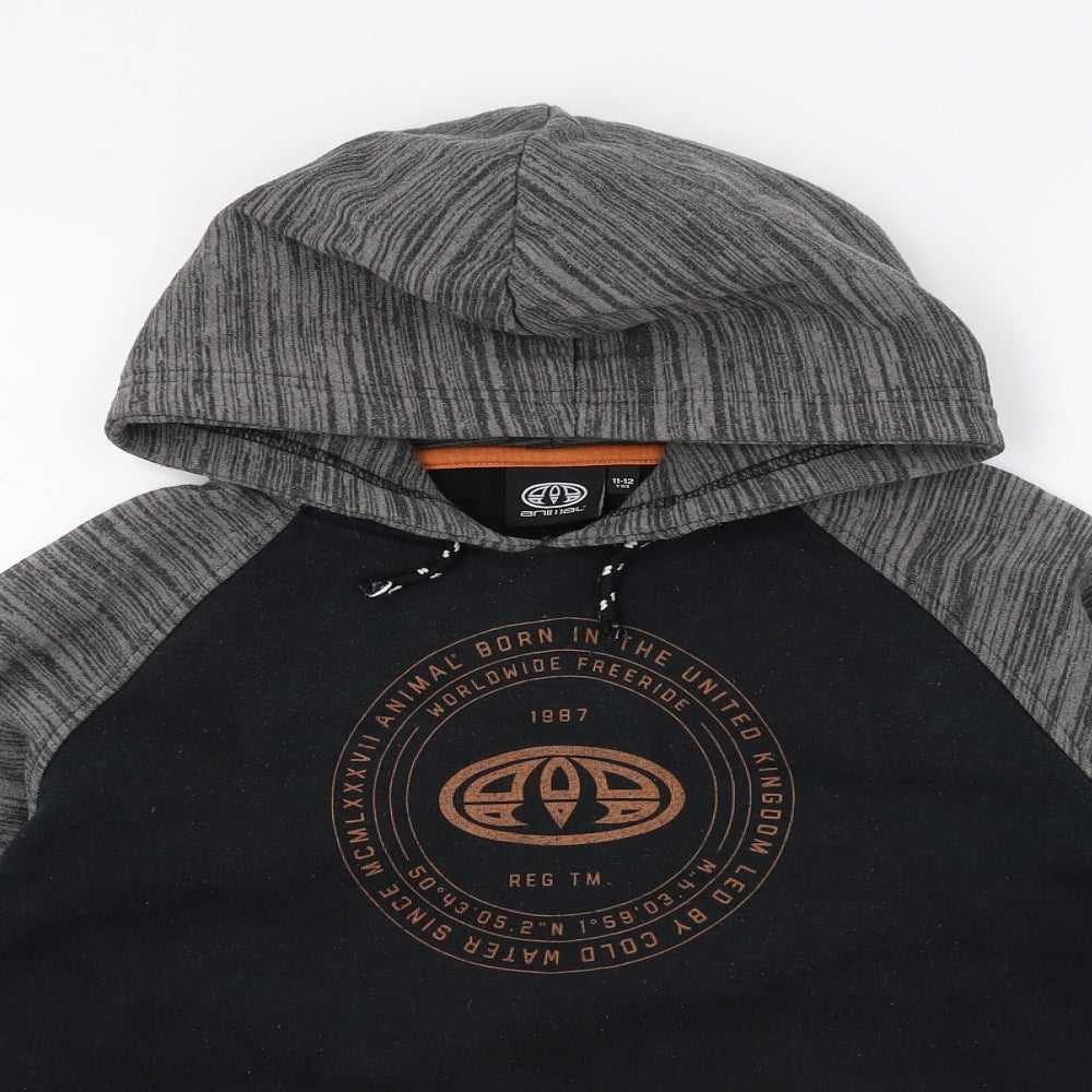 Animal Boys Black  Jersey Pullover Hoodie Size 11-12 Years