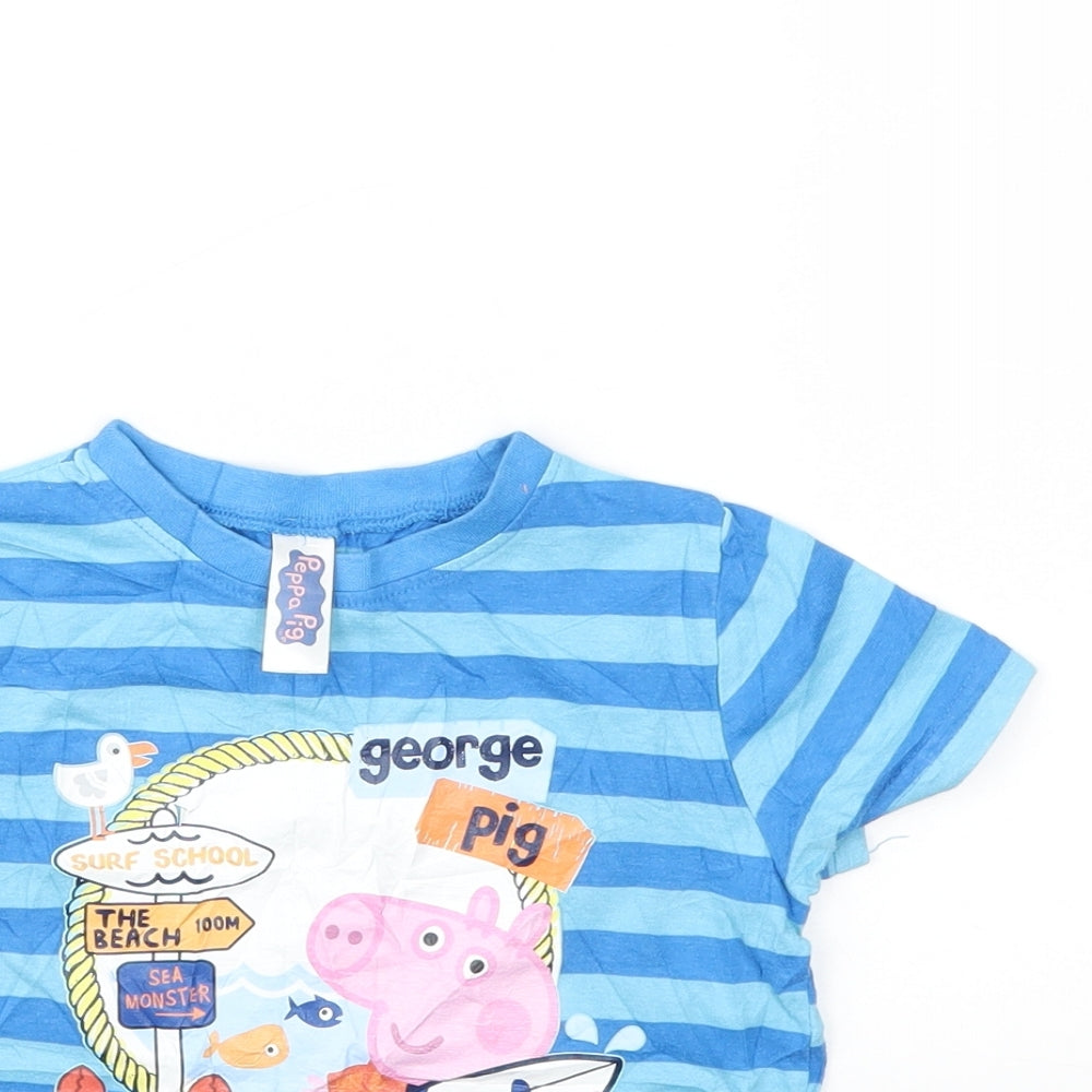Preworn Boys Blue Striped  Basic T-Shirt Size 2-3 Years