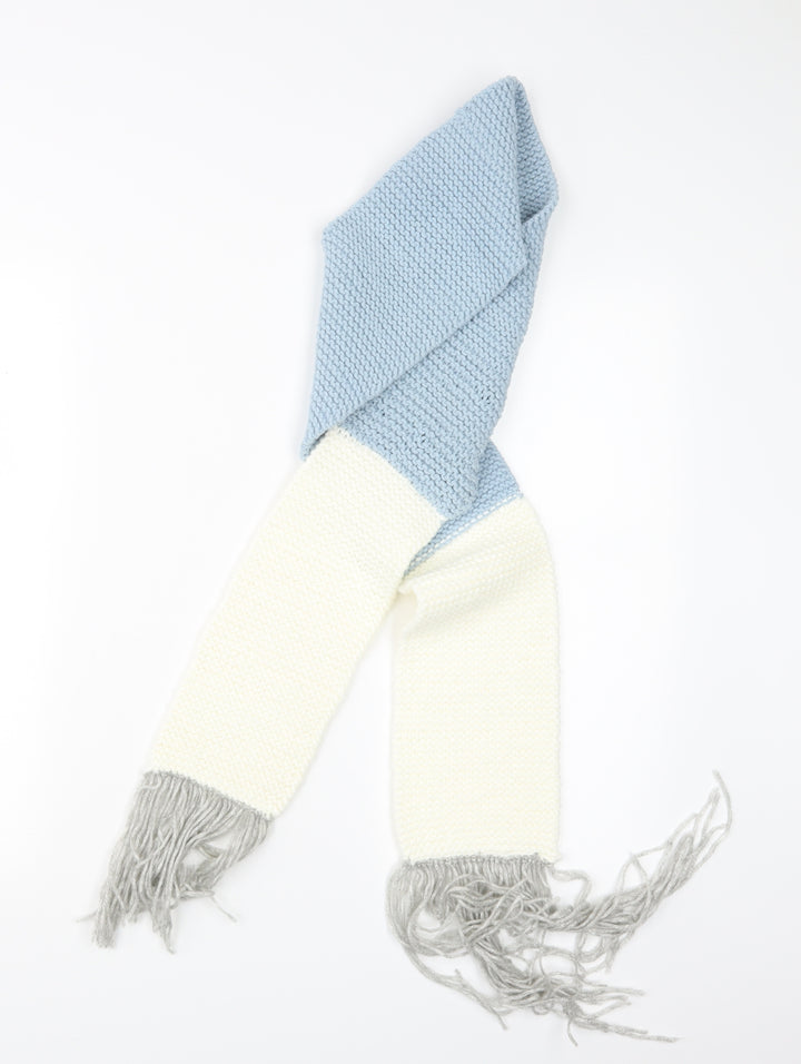 Preworn Womens Blue  Knit  Scarf