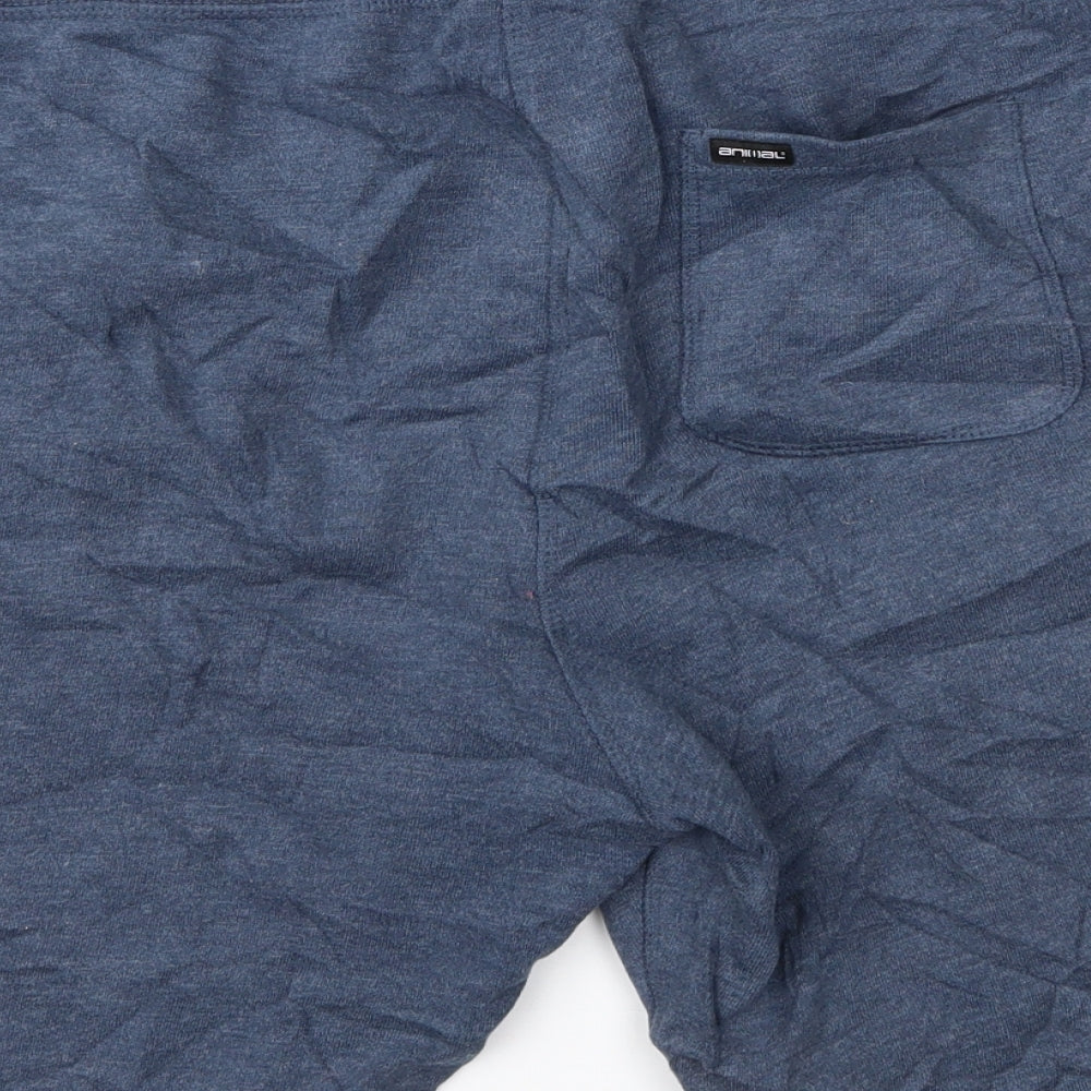 Animal Mens Blue   Sweat Shorts Size M
