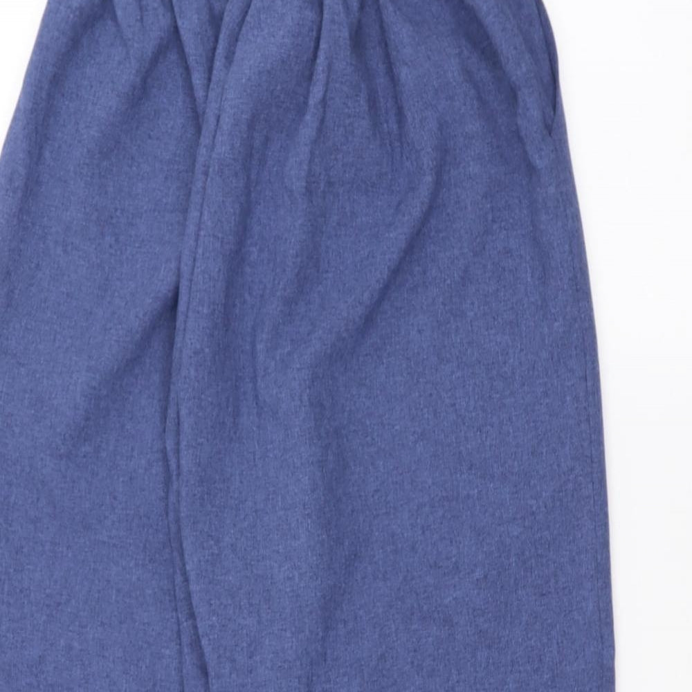 Preworn Womens Blue   Trousers  Size 16 L23 in