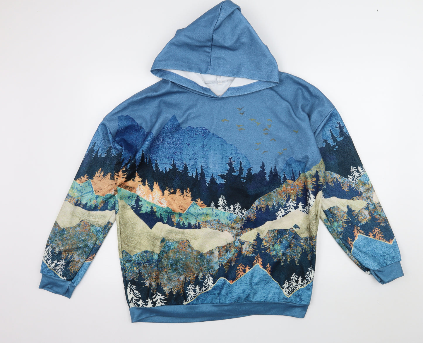 Preworn Womens Blue  Jersey Pullover Hoodie Size XL  - Landscape