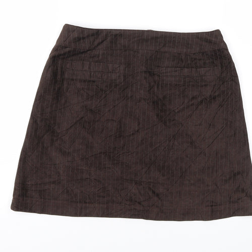 ZNJ Womens Brown Striped  A-Line Skirt Size 10