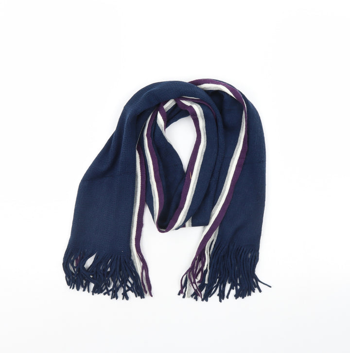 Preworn Womens Blue Striped   Scarf
