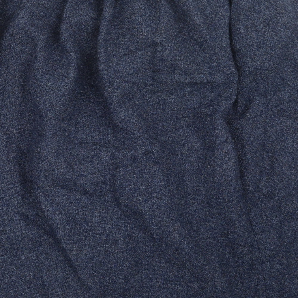 Preworn Womens Blue   A-Line Skirt Size 24 in