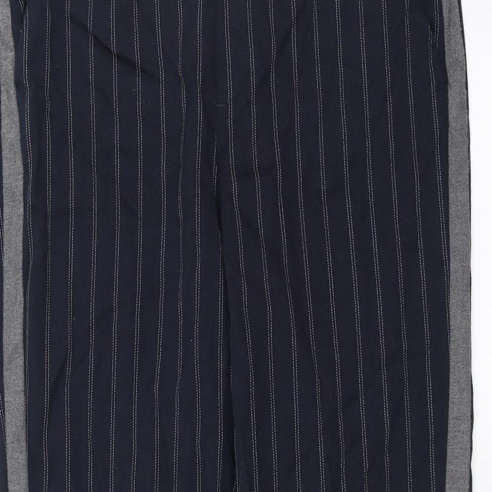 Preworn Womens Blue Striped  Trousers  Size 30 in L26 in