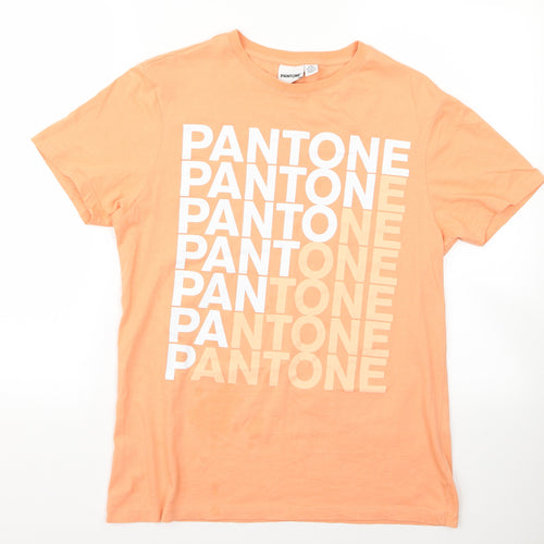 pamtone Womens Beige  Rayon Basic T-Shirt Size S