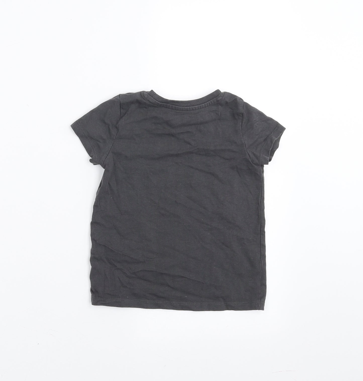 Nutmeg Girls Grey   Basic T-Shirt Size 3-4 Years  - Giraffe