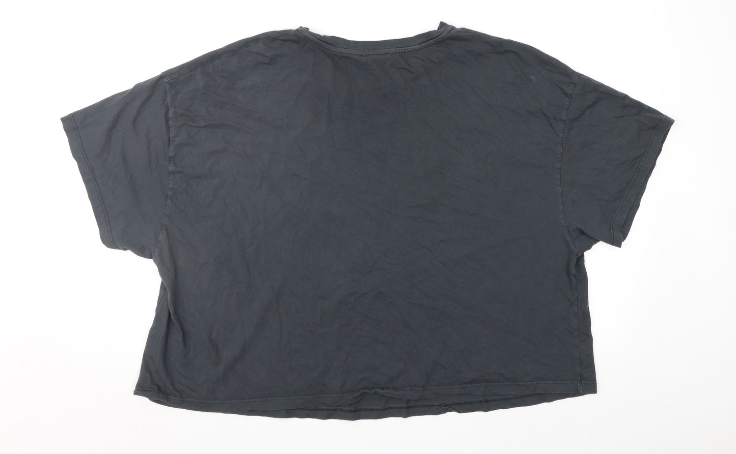 Friends Womens Grey   Cropped T-Shirt Size 20