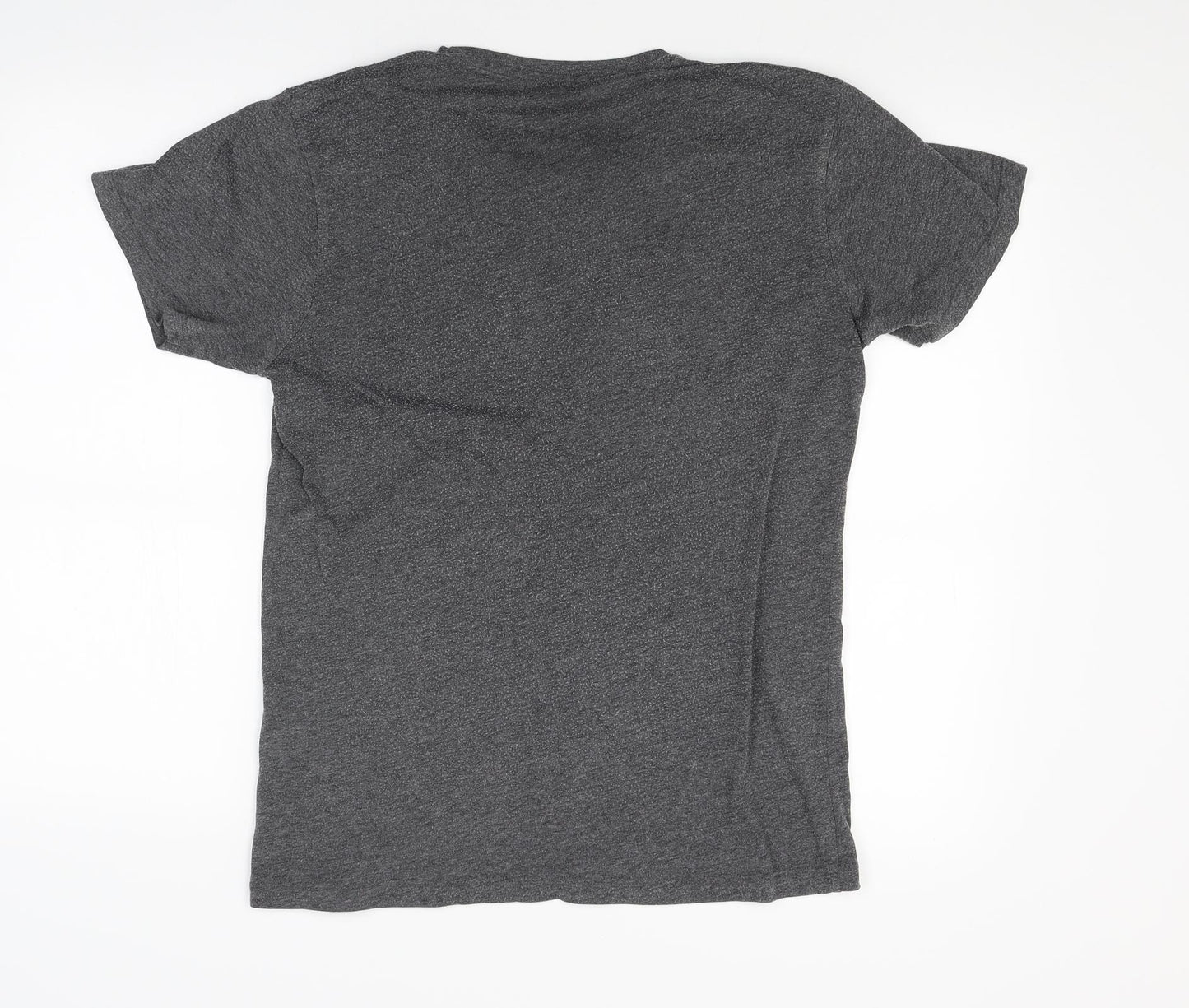 Ceader wood state Mens Grey    T-Shirt Size M  - Brooklyn New York