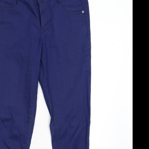 DP Denim Womens Blue  Denim Skinny Jeans Size 10 L29 in