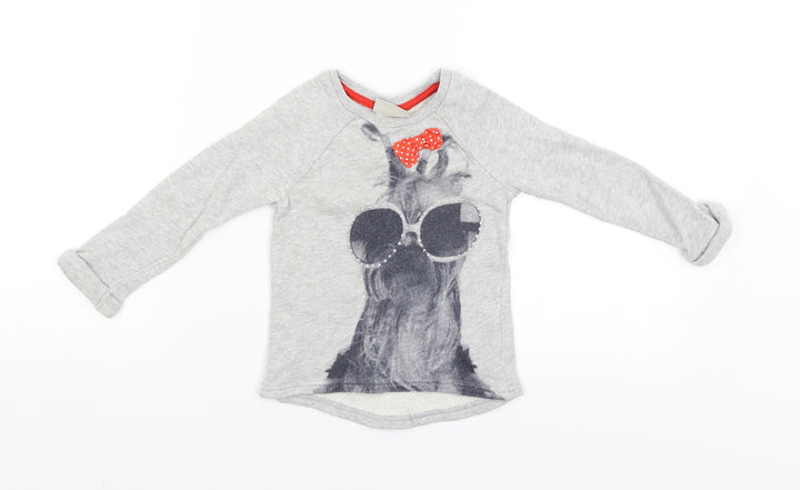 NEXT Boys Grey   Pullover Jumper Size 12-18 Months  - Dogs
