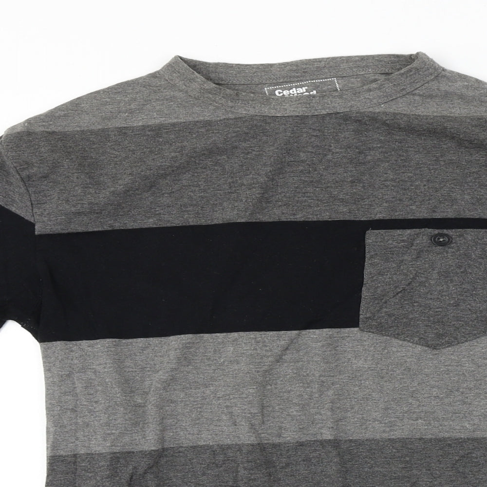 Cedar Wood State  Mens Grey Striped   T-Shirt Size XS