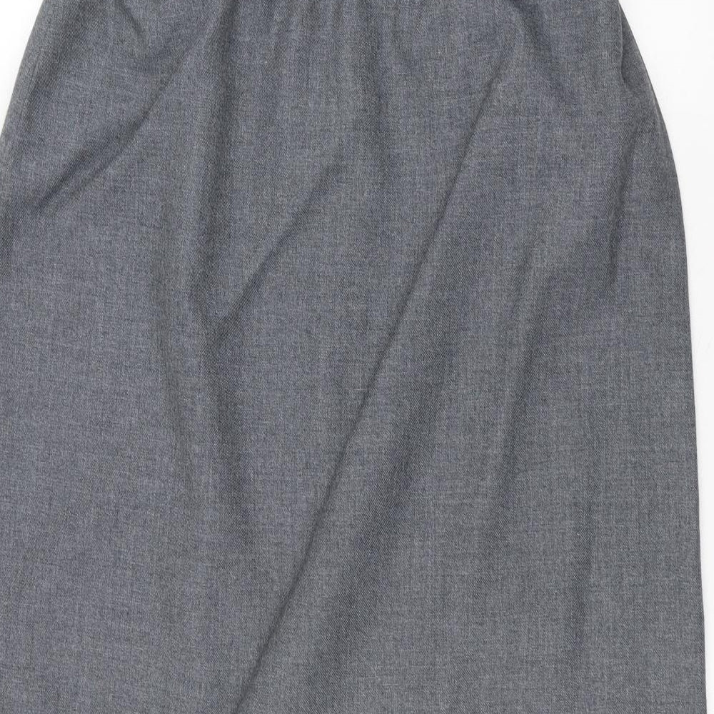 Preworn Womens Grey   A-Line Skirt Size 30 in