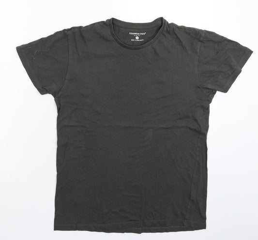 Front view of Cedarwood State men’s grey t-shirt, size S