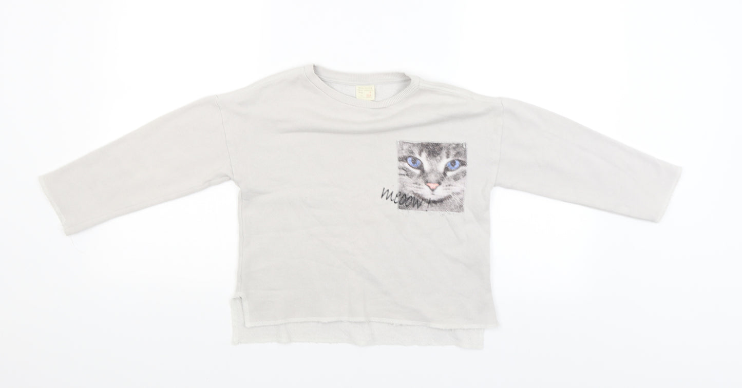 Zara Womens Grey   Pullover Jumper Size 6  - Cat