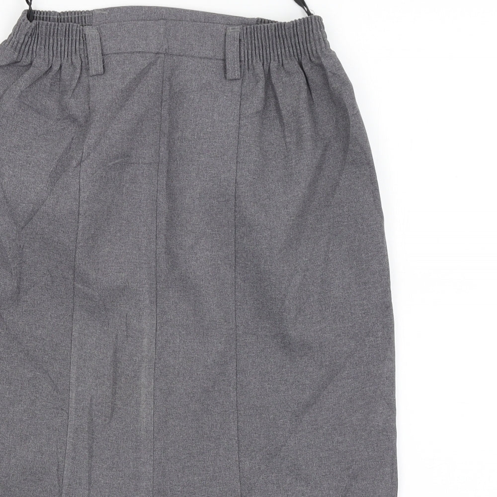 Truex Womens Grey   A-Line Skirt Size 26