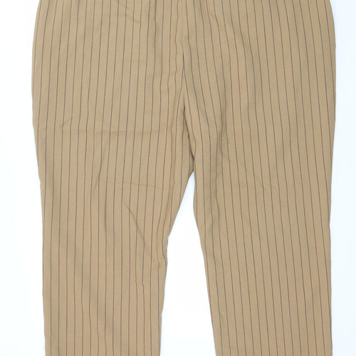 Autograph Womens Brown Striped  Trousers  Size 24 in L27 in