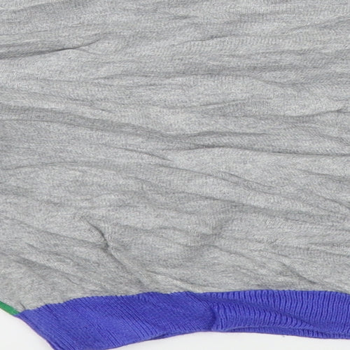 Nutmeg Boys Grey Colourblock  Pullover Jumper Size 36 Months  - dinasour