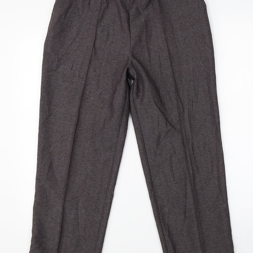 Marks & Spencer Womens Brown   Dress Pants Trousers Size 12 L25 in