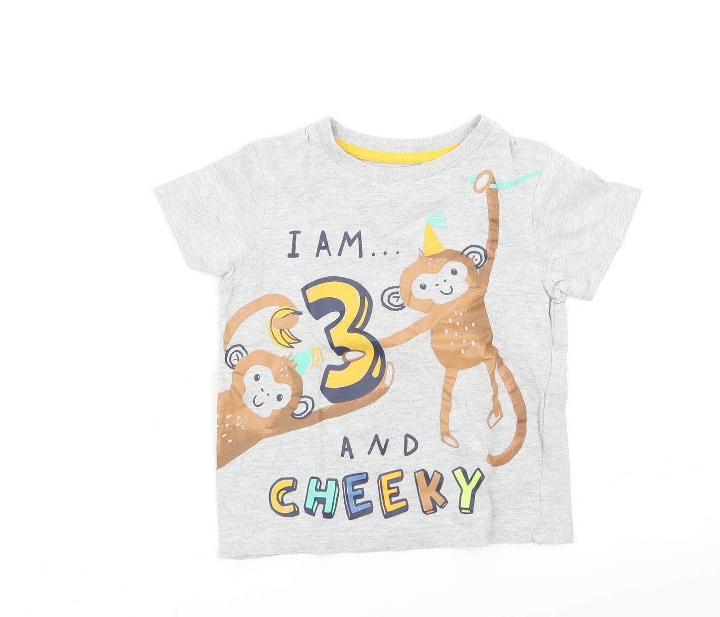 Asda George Boys Grey Animal Print  Basic T-Shirt Size 2-3 Years