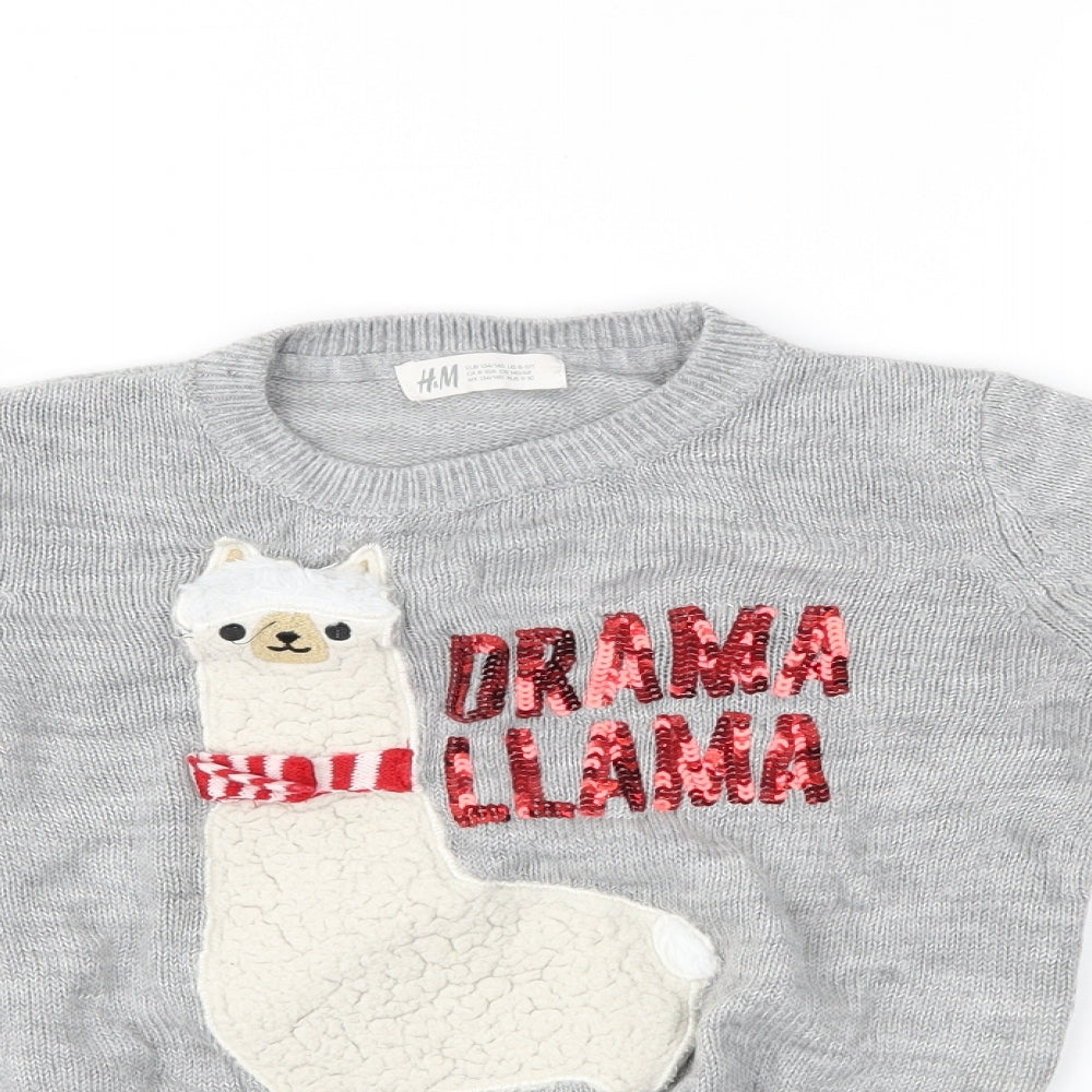 H&M Girls Grey   Pullover Jumper Size 9-10 Years