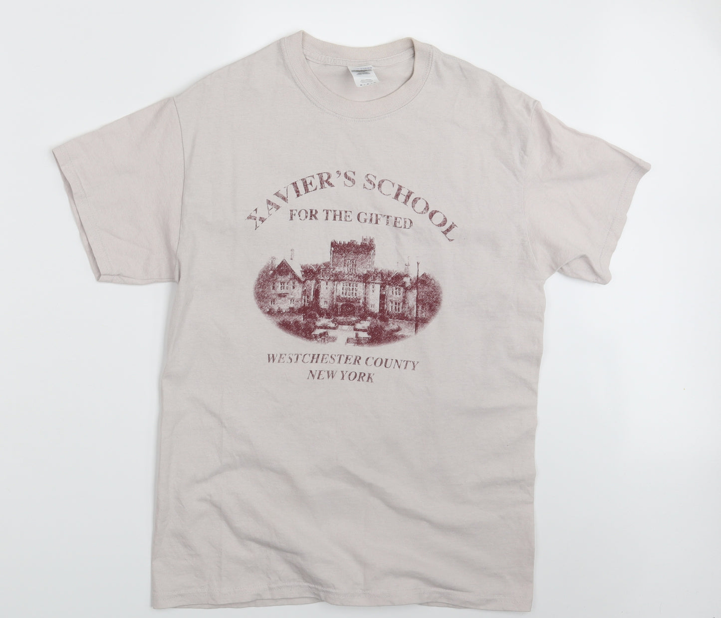 Gildan Mens Purple    T-Shirt Size M