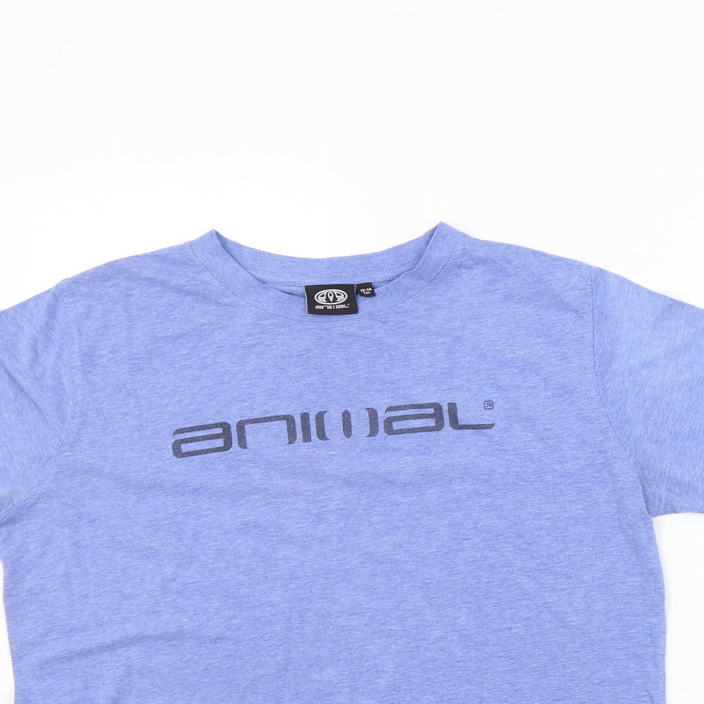 Animal Boys Blue   Basic T-Shirt Size 13-14 Years  - washable mark
