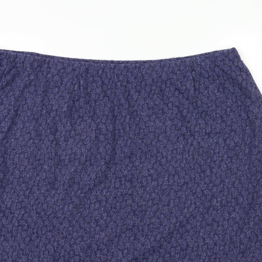 Preworn Womens Blue   A-Line Skirt Size 38 in
