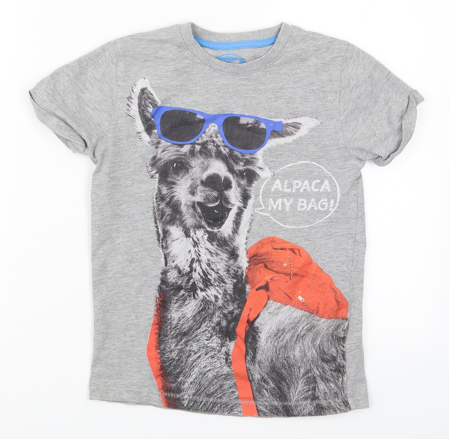 Blue Zoo Boys Grey   Basic T-Shirt Size 9 Years  - Alpaca My Bag