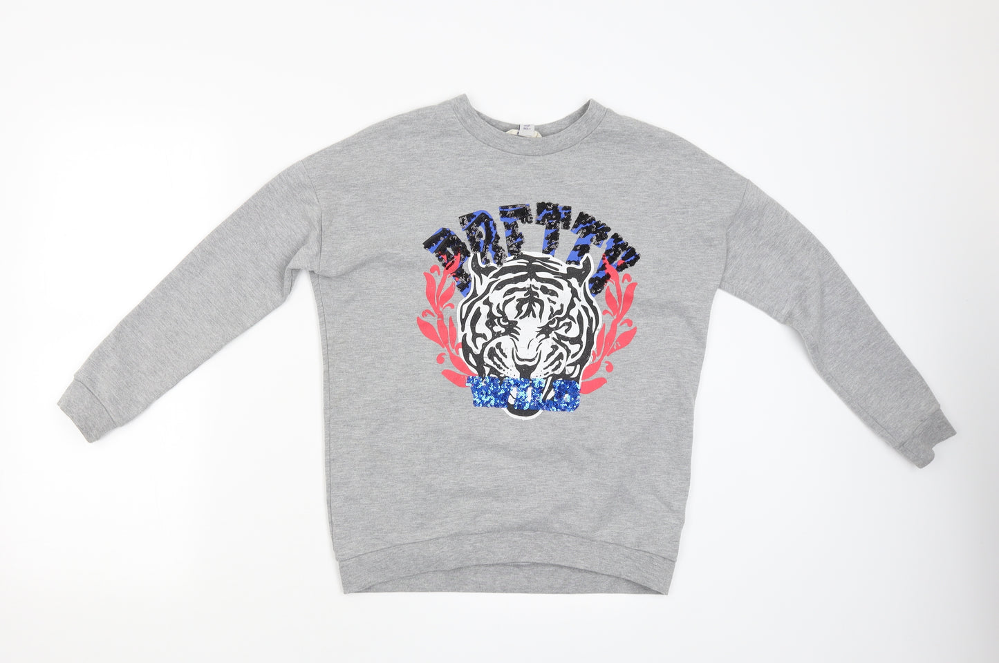 River Island Girls Grey   Pullover Jumper Size 9-10 Years  - Pretty Wild Lion