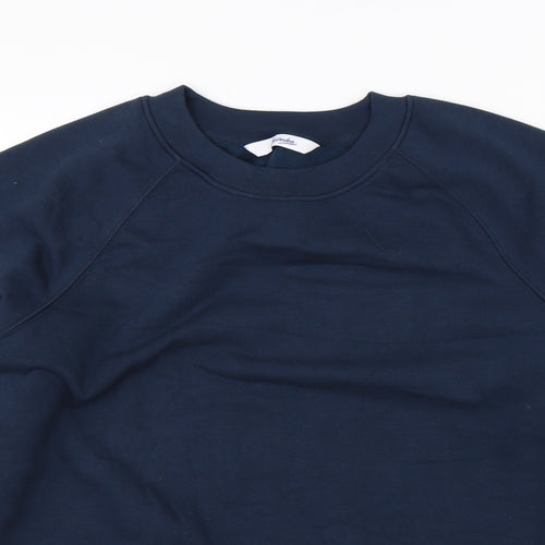 Alexandra Mens Blue   Pullover Sweatshirt Size M