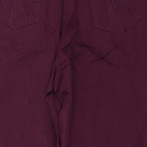 Preworn Womens Purple  Denim Straight Jeans Size 20 L27 in