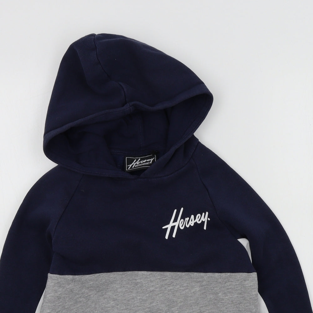 Hersey Boys Blue Colourblock  Pullover Hoodie Size 10-11 Years