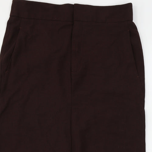 Zara Womens Brown   A-Line Skirt Size L