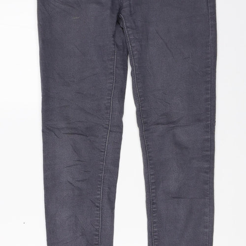 Preworn Womens Grey   Skinny Jeans Size 28 L29.5 in
