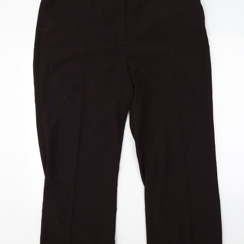 Maine Womens Brown   Dress Pants Trousers Size 20 L25 in