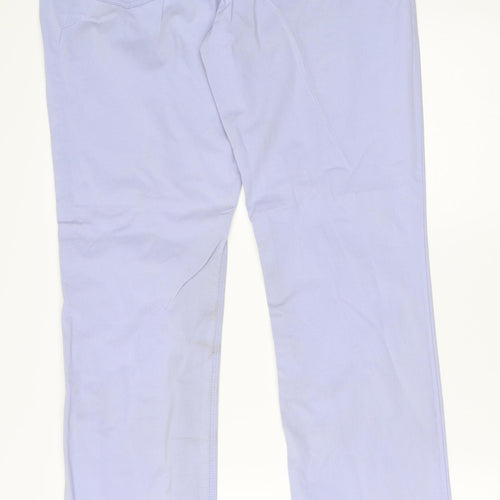 Southern Cotton Womens Purple  Denim Skinny Jeans Size 14 L30 in