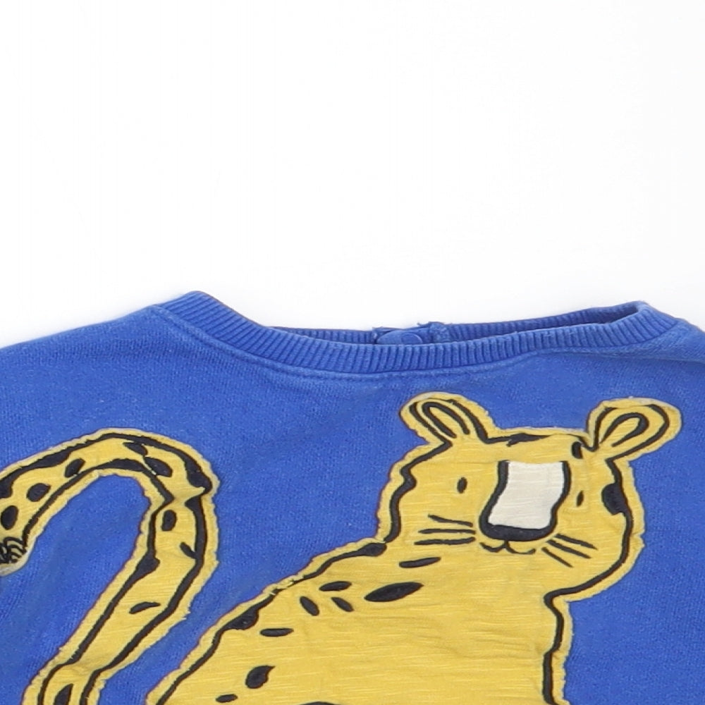 NEXT Boys Blue   Pullover Jumper Size 12-18 Months