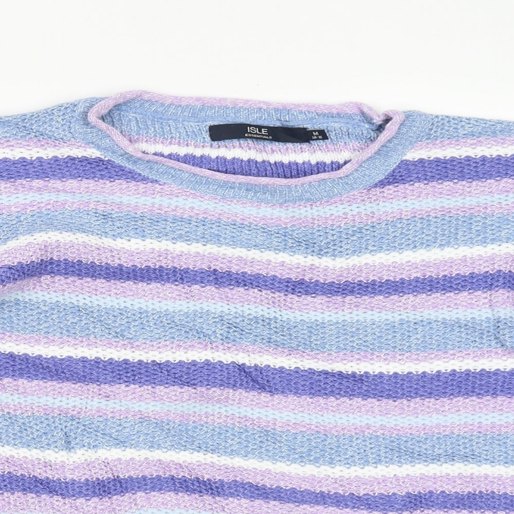 Isle Womens Multicoloured Striped  Pullover Jumper Size M