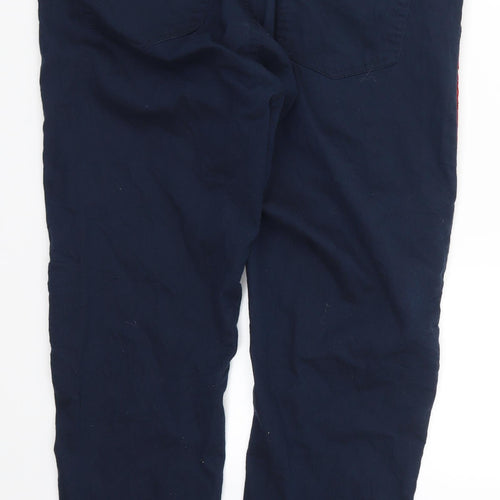 Preworn Womens Blue Striped  Trousers  Size 38 in L28 in