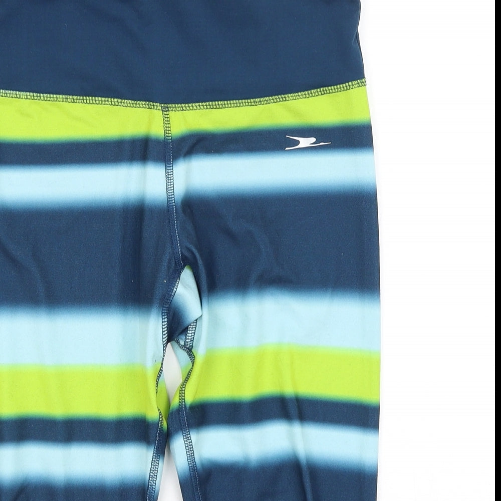 Crane Womens Blue Striped  Cropped Leggings Size 8 L26.5 in