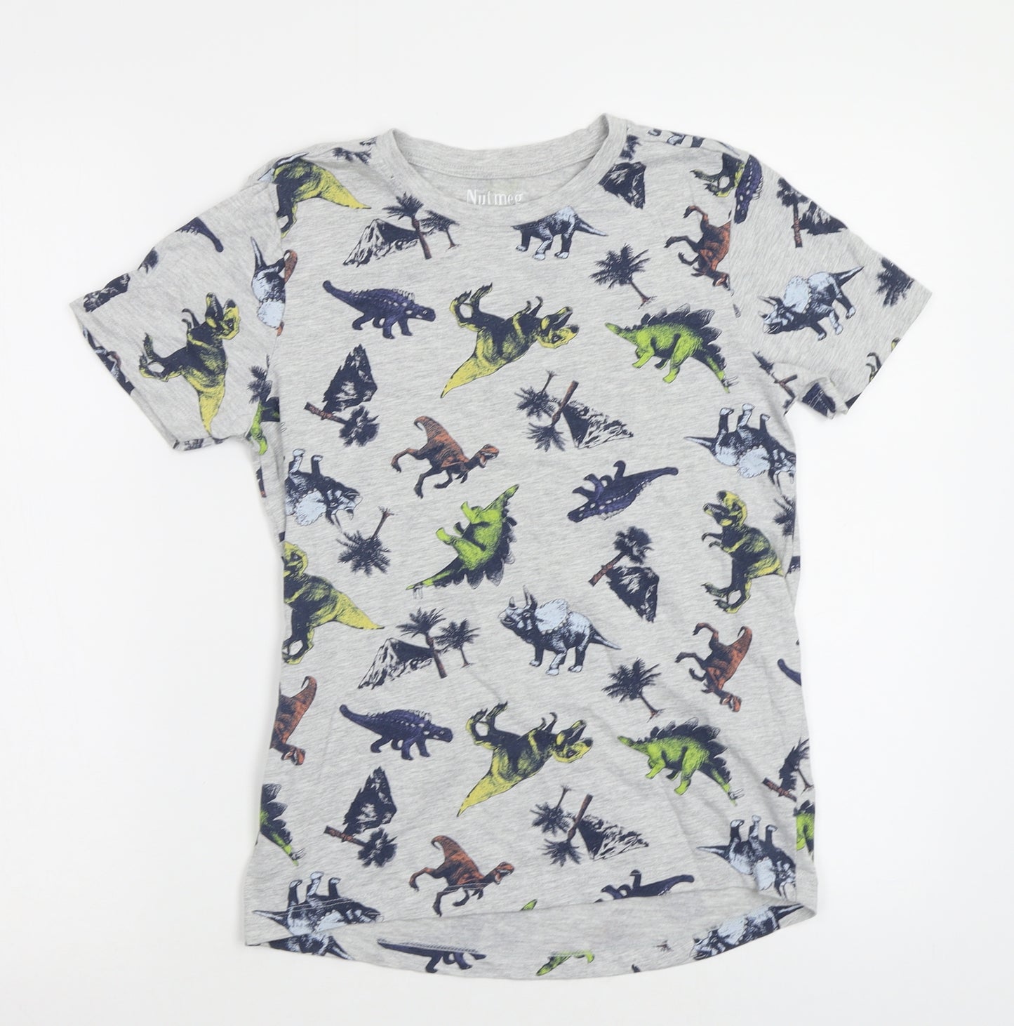 Nutmeg Boys Grey   Basic T-Shirt Size 11 Years  - Dinosaur