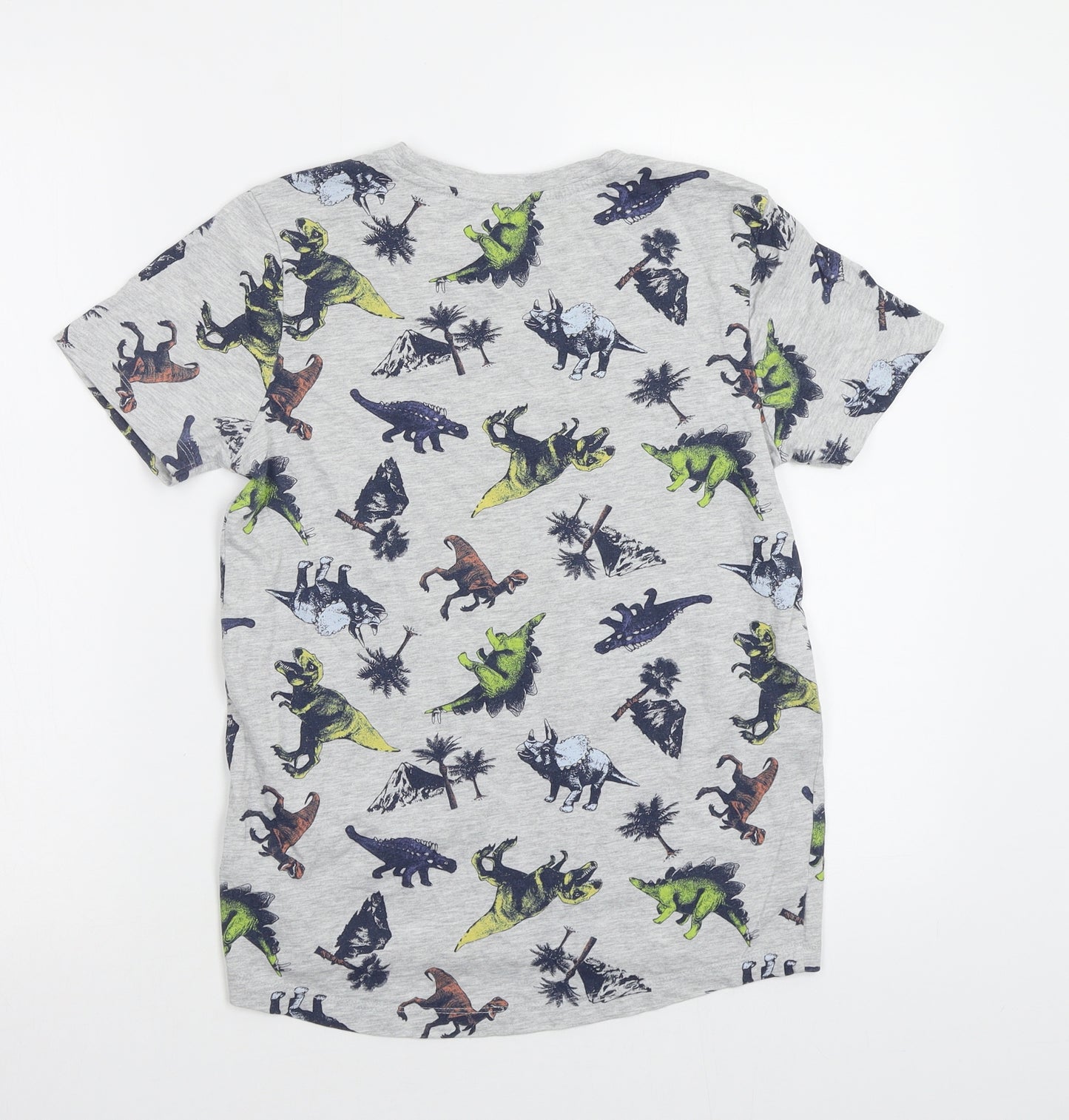 Nutmeg Boys Grey   Basic T-Shirt Size 11 Years  - Dinosaur