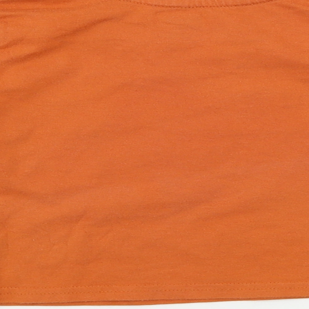 Primark  Boys Brown   Basic T-Shirt Size 12-18 Months  - Lion King