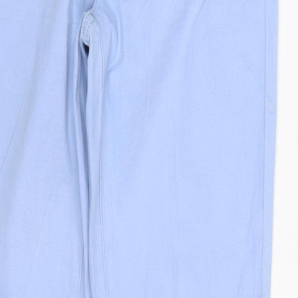 Preworn Womens Blue  Denim Skinny Jeans Size 29 in L32.5 in