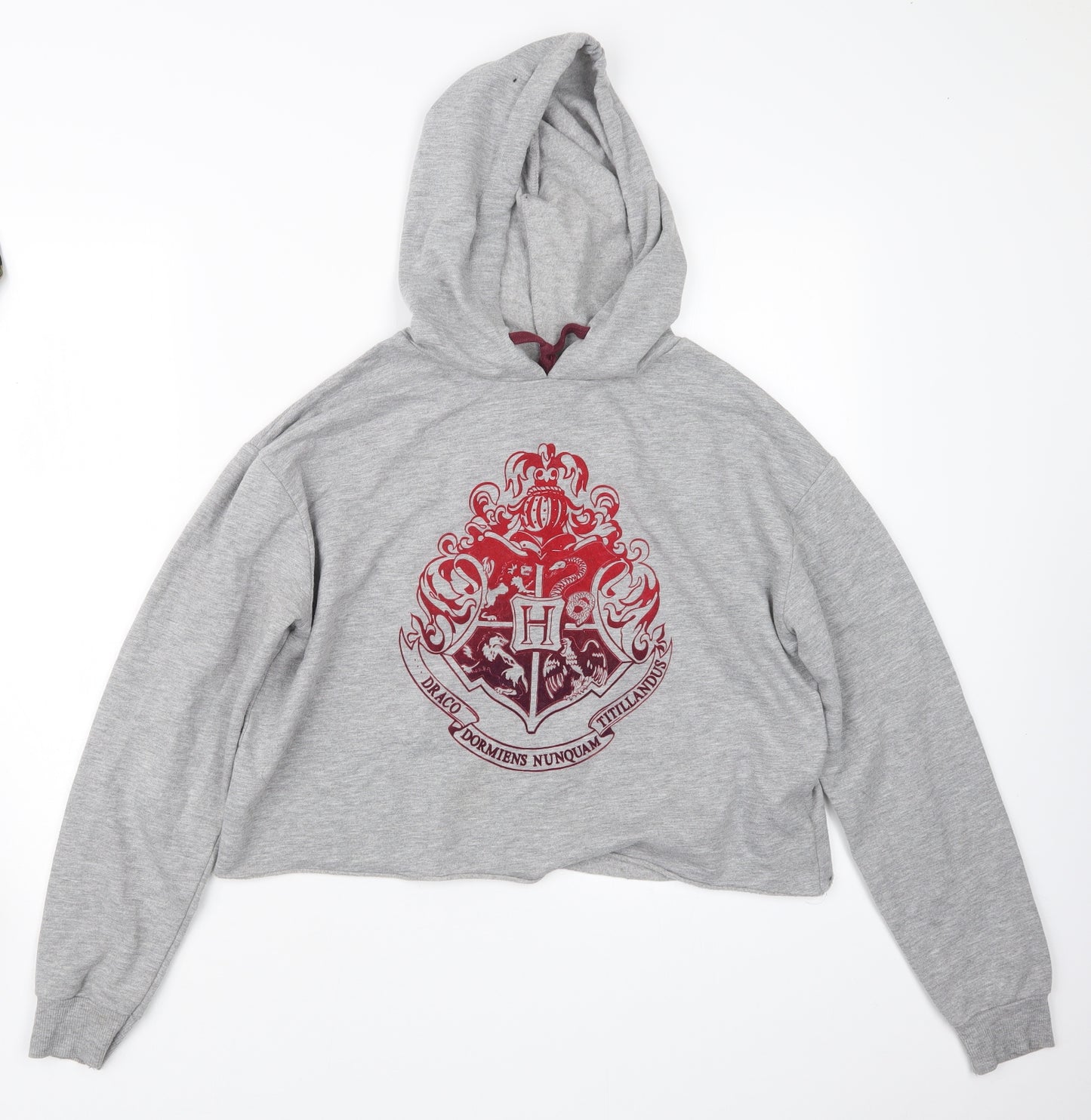 Primark Womens Grey   Pullover Hoodie Size 10  - Harry Potter