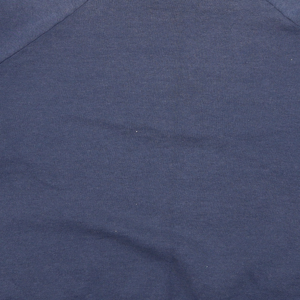 screen stars  Mens Blue   Pullover Jumper Size XL