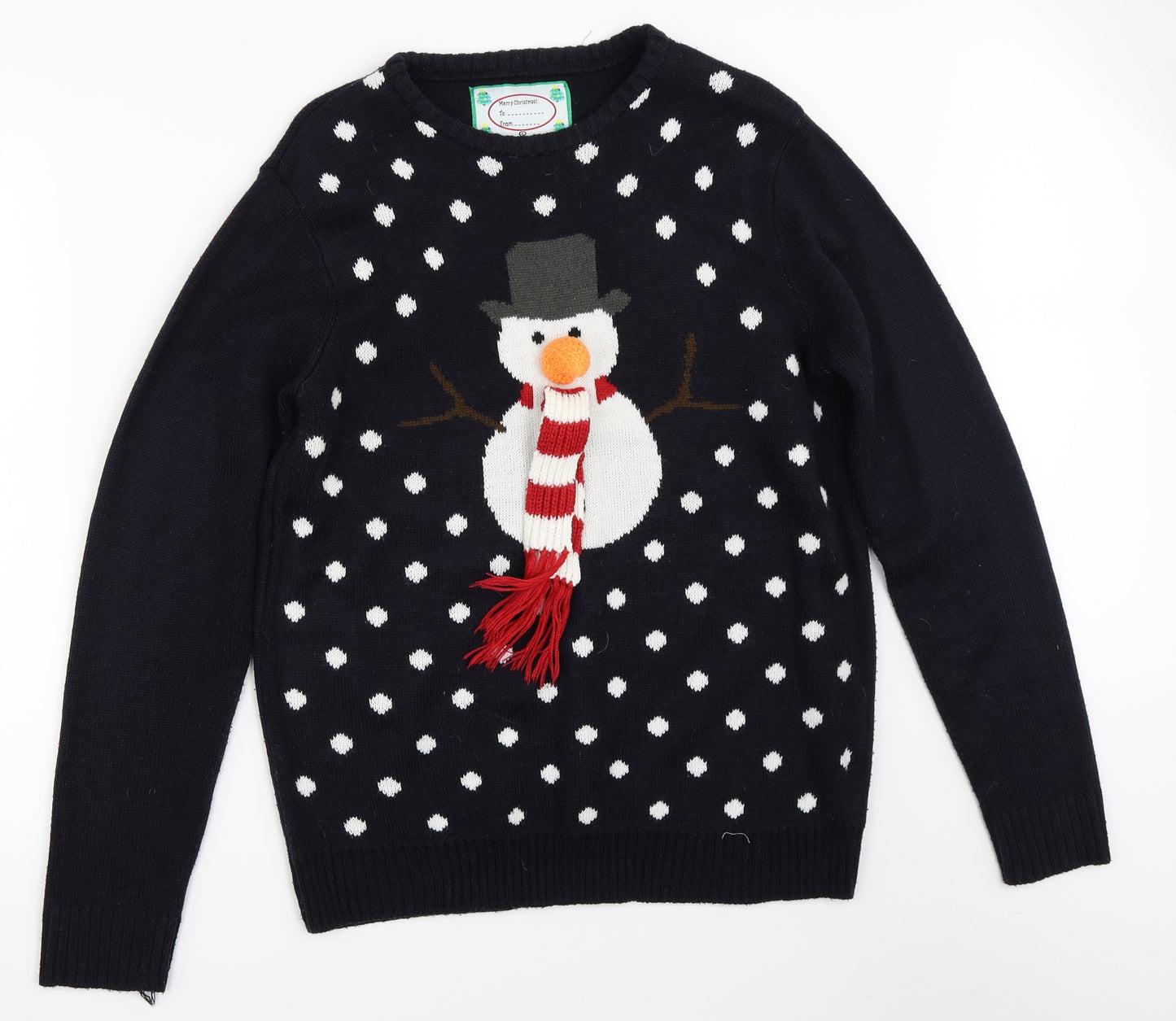 Cedar Wood State Mens Blue   Pullover Jumper Size L  - christmas jumper